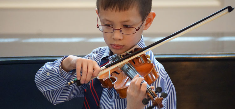 Violinist performing